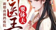 新婚夜被扔废院,神医王妃要休夫笔趣阁版