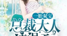 一胎双宝:总裁大人,请温柔2024新版