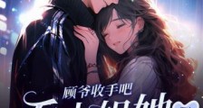 顾爷收手吧,乔小姐她又去相亲了2024新版