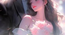 宁小姐,周先生服软了2024新版