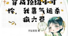 穿成顶级小可怜,我靠气运杀疯六界2024新版