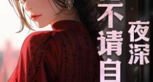 夜深,他不请自来2024新版