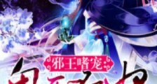 邪王嗜宠鬼医狂妃2024新版
