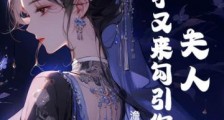 夫人,太子又来勾引你了!2024新版