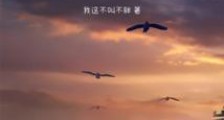 从柯南开始的旅途2024新版