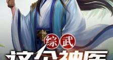 综武,这个神医有点东西但不多笔趣阁版