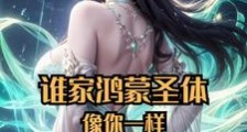 谁家鸿蒙圣体像你一样,天天偷家笔趣阁版