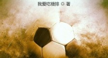 足球盛宴,从收购欧洲俱乐部开始笔趣阁版