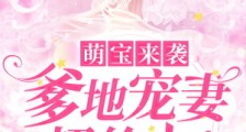 萌宝来袭,爹地宠妻超给力!笔趣阁版