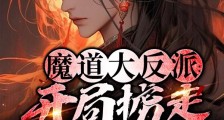 魔道大反派:开局掳走正道圣女笔趣阁版