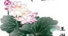 王谢留燕华新版