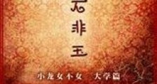 玉石非玉新版