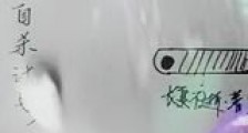 冬日自杀计划新版