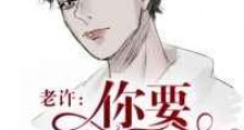 老许,你要老婆不要新版