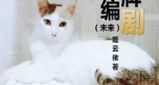 金牌编剧(未来)新版