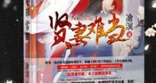 贤妻难当新版