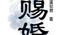 赐婚(重生)新版