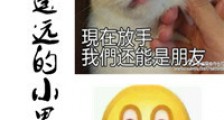 在那遥远的小黑屋新版