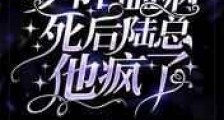 少爷白血病死后,陆总他疯了新版