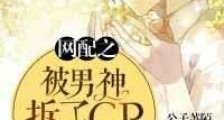 网配之被男神拆了cp怎么破新版