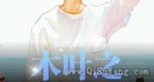 木叶之逻辑鬼才新版