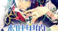 木叶里的大话小明新版