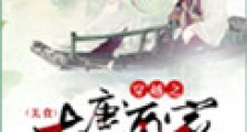 穿越之大唐酒家新版