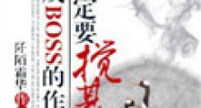 穿成BOSS的作者你注定要搅基新版