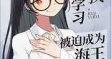 热爱学习的我被迫成为海王新版