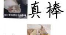 你未婚妻真棒新版