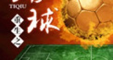 重生之踢球新版