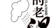 我的老师新版