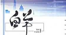 白羊新版