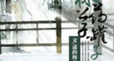 林公子药罐子新版