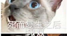 死而复生之后我从老头变成了绝世大美人新版