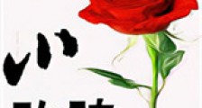 他的小玫瑰(作者:木兮娘)新版