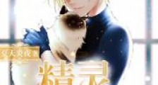 精灵宠物店新版