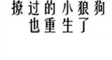 撩过的小狼狗也重生了新版