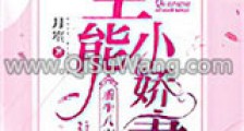 重生八零之全能小娇妻新版