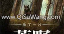 捡了一片荒野新版