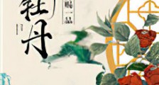 御赐一品娇牡丹新版