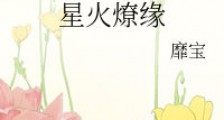 星火燎缘(GL)新版