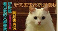 穿成反派的猫新版