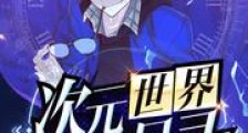 次元世界融合目录新版
