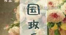 南国玫瑰新版