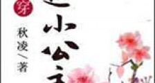 清穿之福运小公主新版