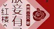 放妾有子新版