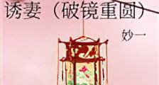 诱妻(破镜重圆)新版