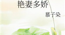 艳妻多娇新版