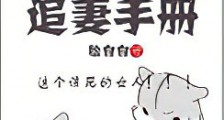 傲娇皇帝追妻手册新版